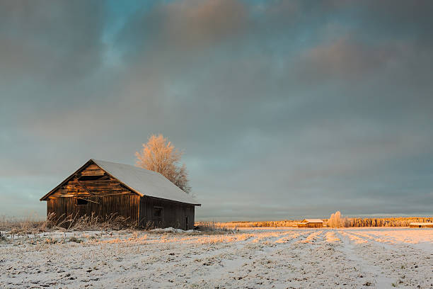 sole invernale sul vecchio fienile casa - winter finland agriculture barn foto e immagini stock