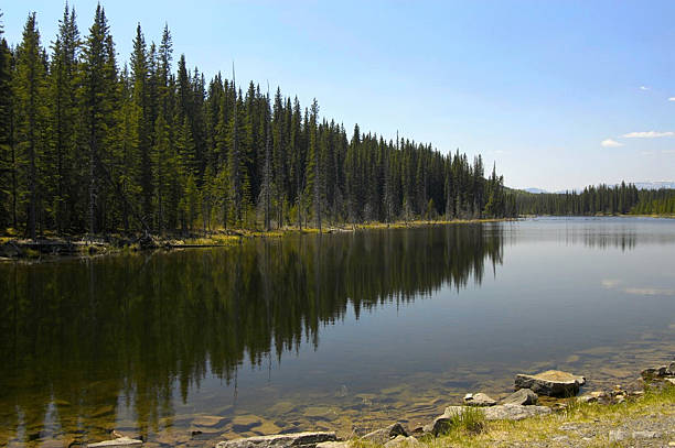 istock Trekking through the Canadian Rocky mountains, 501791296