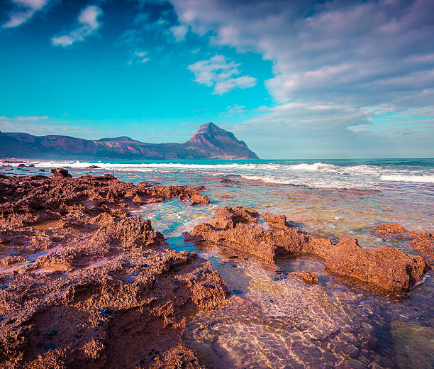 istock Colorful spring morning on the nature reserve Monte Cofano 501793548