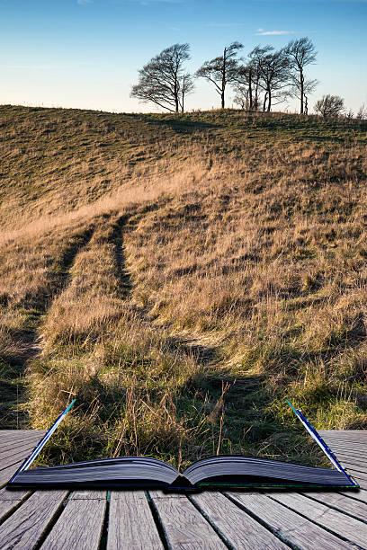 istock Autumn sunset over countryside landscape  Creative concept 501793699