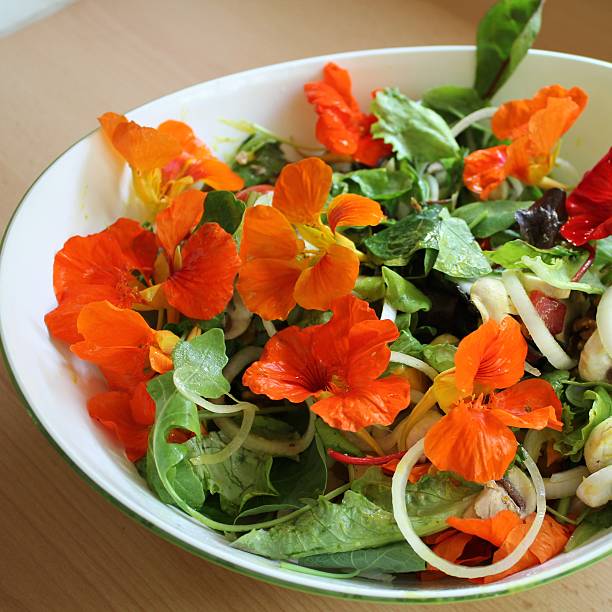 istock Salad, flowers salad, summer recipe 501793701