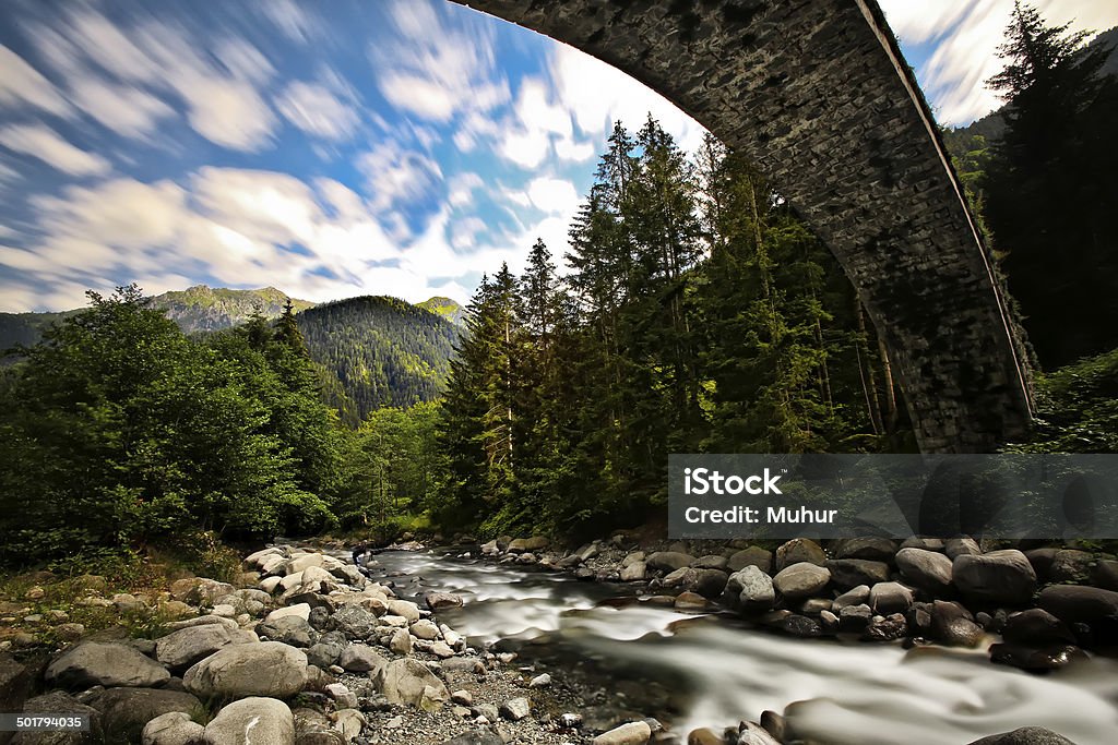 Pont de pierre - Photo de Adulte libre de droits