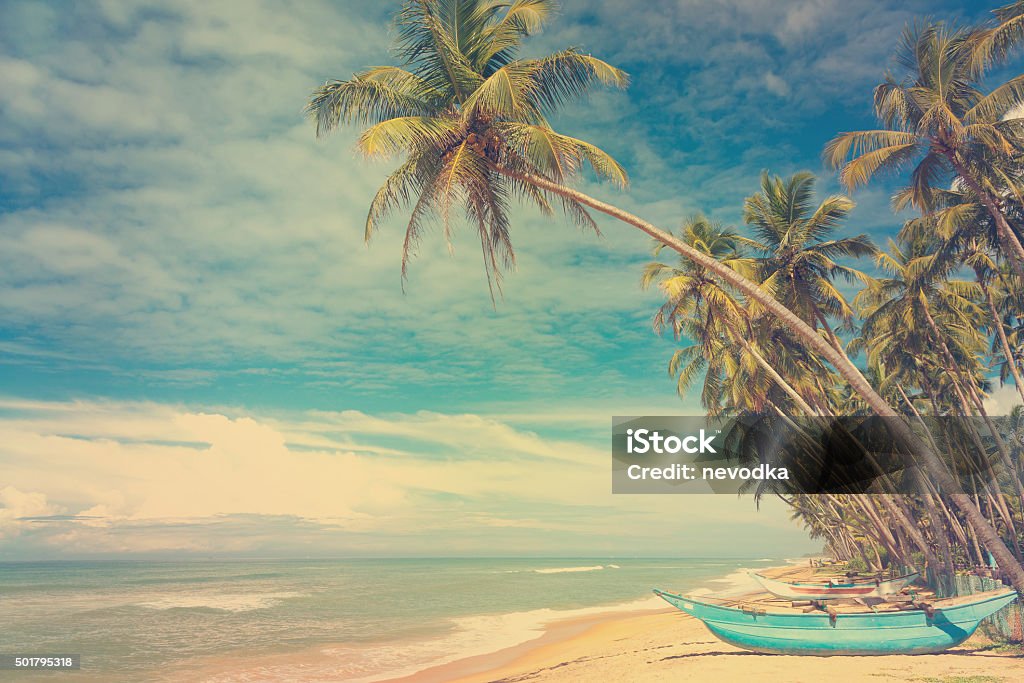 Wooden boats under palm trees Wooden boats under palm trees on tropical beach, vintage stylized 2015 Stock Photo