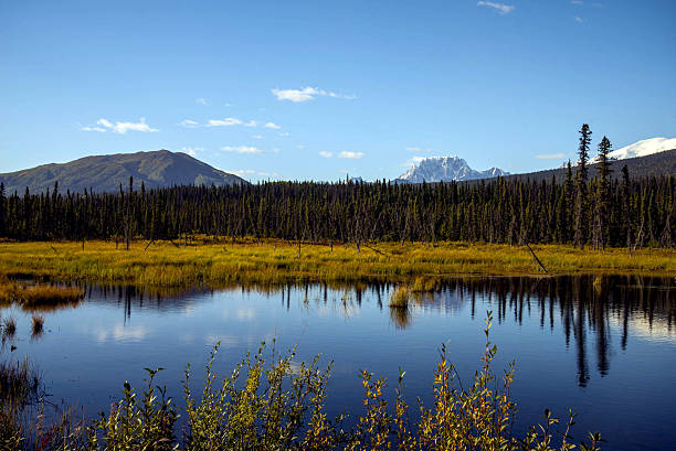 istock Lake scenery in Alaska 501795416