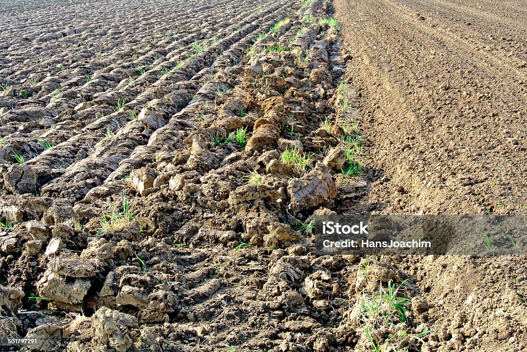 Preparados para sembrar acres - Foto de stock de Acre libre de derechos