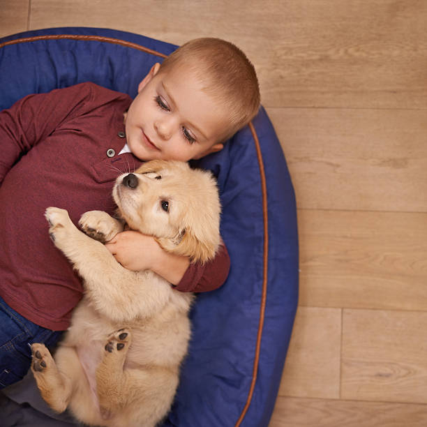 istock Growing up with his best friend 501797917