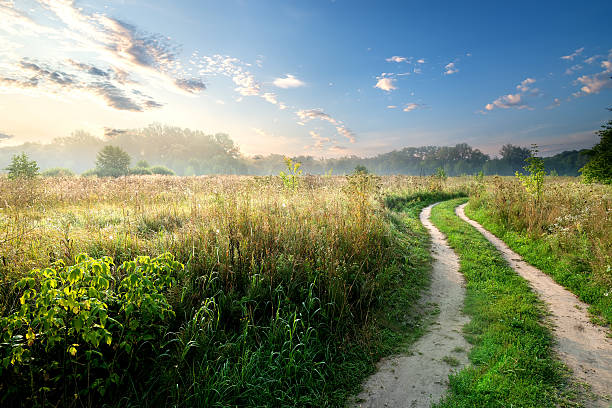 istock Fog over country road 501797952