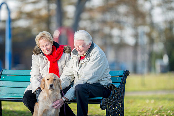 istock Senior Couple Walking Their Dog 501799022
