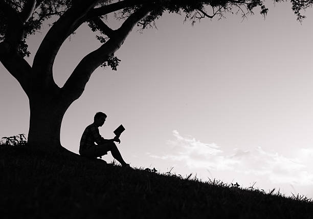 leyendo un libro. - outdoors book reading accessibility fotografías e imágenes de stock