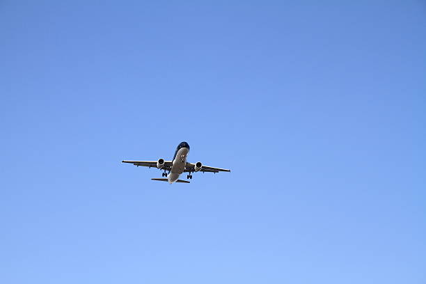 istock Airplane landing at Haneda airport 501799511