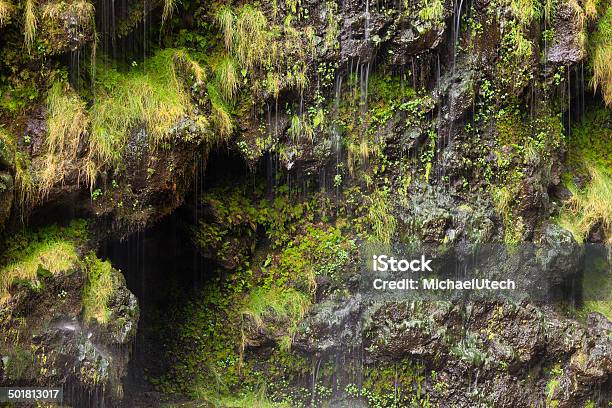 Foto de Catarata De Waimoku Maui e mais fotos de stock de América do Norte - América do Norte, Caindo, Cascata