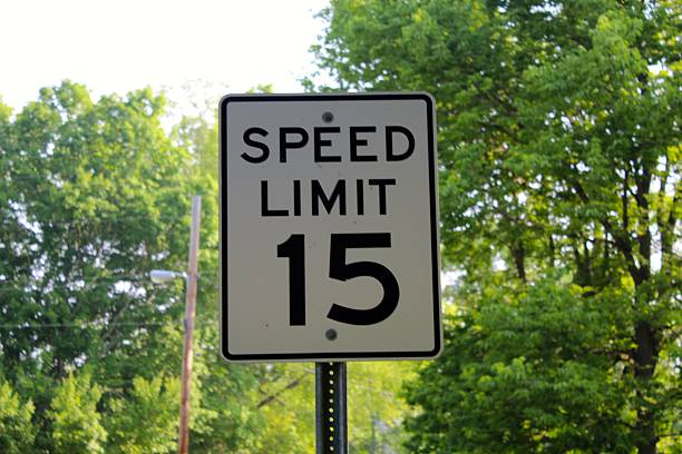 istock Speed Limit Sign in Park 501813354