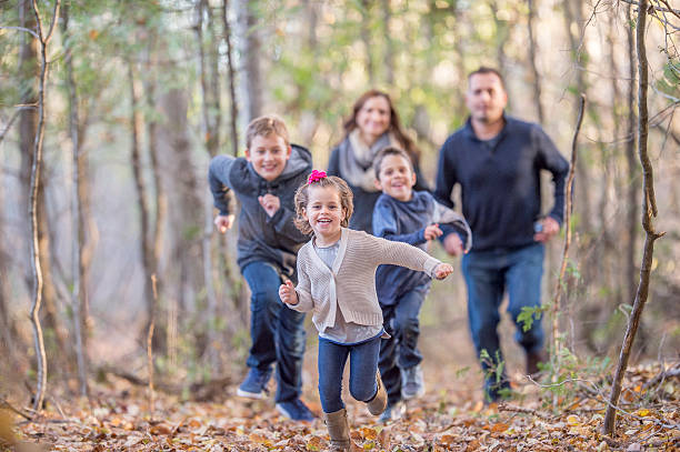 istock Enjoying a Walk Through the Woods on a Fall Day 501813748