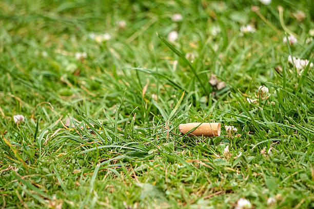 istock Cigarette butts discarded in lovely green grass 501813998