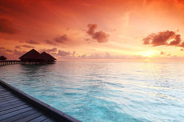 istock maldivian houses on sunrise 501814163