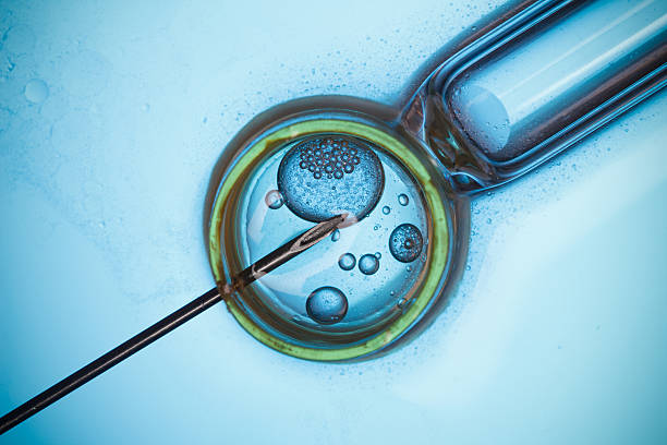 IVF macro concept stock photo