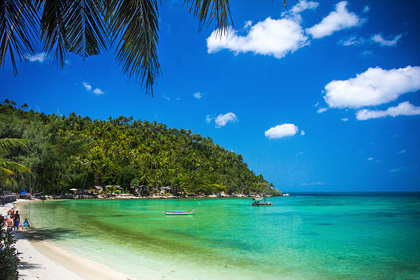 istock Tropical beach at Koh Phangan - nature background. Thailand 501814711