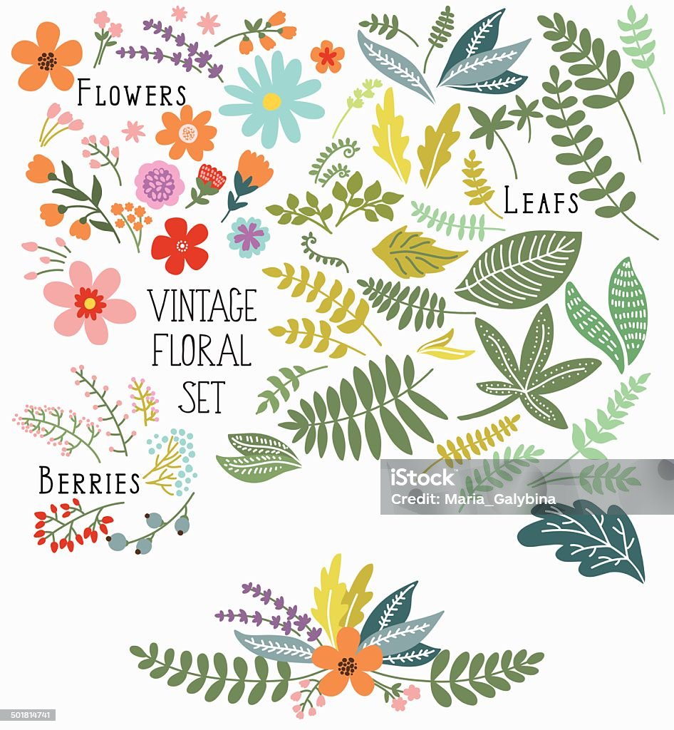 Set of flowers Hand Drawn vintage floral elements. Set of flowers. You can make your vintage floral bouquet! Beauty In Nature stock vector