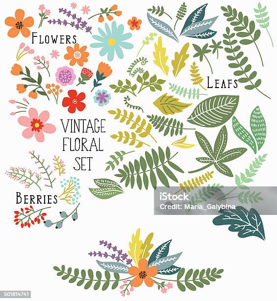 Set Of Flowers Stock Illustration - Download Image Now - Beauty In Nature, Berry, Bouquet