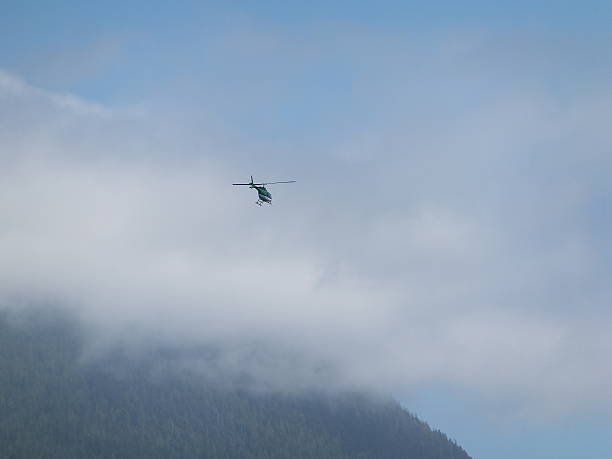 istock Helicopter in the distance 501814801