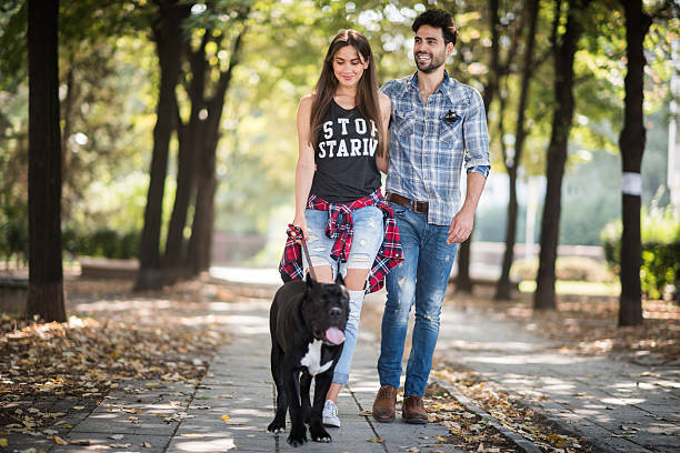 istock Young couple with dog walking in the park 501815284