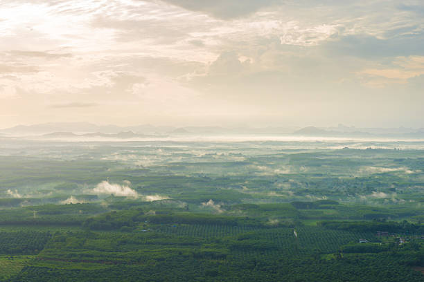 Sunrise mountain view landscape with fog. Sunrise mountain view landscape with fog. Fog on the mountain. whitesides stock pictures, royalty-free photos & images