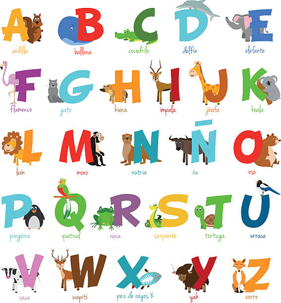 bildbanksillustrationer, clip art samt tecknat material och ikoner med cute cartoon zoo illustrated alphabet with funny animals. spanish alphabet - illustrationer med björn