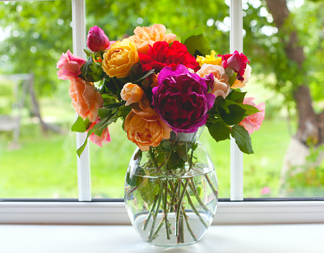 large vase with colorful roses on window sill