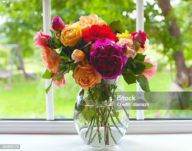 Large Vase With Colorful Roses Stock Photo - Download Image Now - Vase, Flower, Rose - Flower