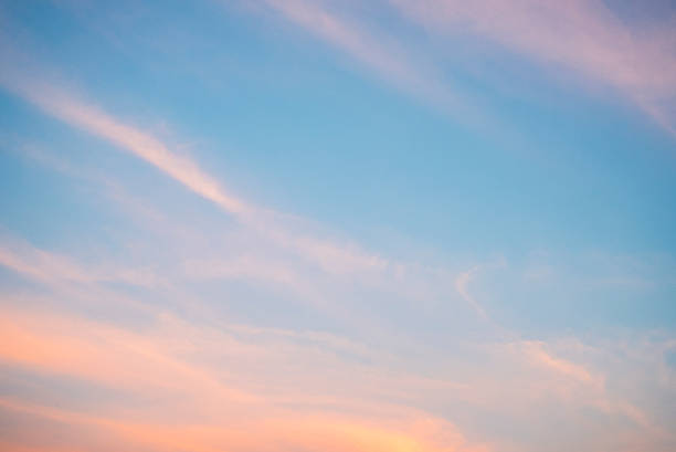 istock Beautiful Blurred sky color sunset for background 501816310