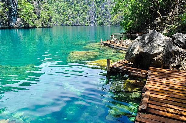 istock Very Clean and Clear lagoon lake Water next to a 501816316