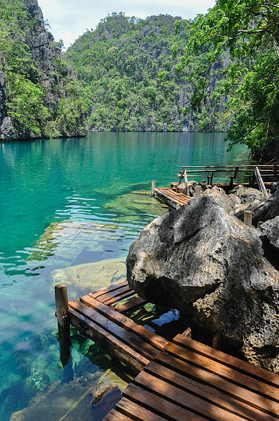 istock Very Clean and Clear lagoon lake Water next to a 501816356