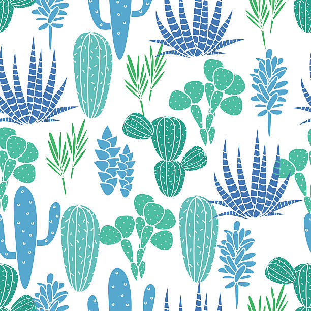 succulent 공장요 벡터 연속무늬. 식물학 블루 및 그린 캐터스 - flower desert single flower cactus stock illustrations