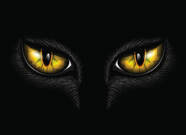 illustrazioni stock, clip art, cartoni animati e icone di tendenza di occhi di gatto giallo - occhio di animale