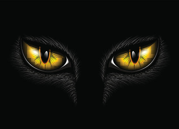 yellow cat's eyes Two yellow cat eyes on black background animal eye stock illustrations