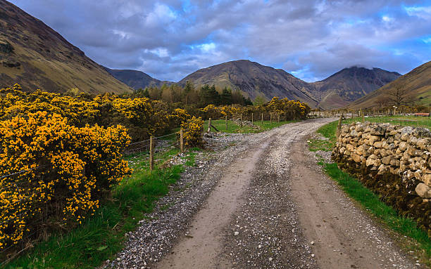 istock Countryside road with beautiful landscape 501818409