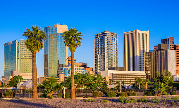 istock Phoenix Arizona downtown skyline skyscrapers, palm trees during golden hour 501819387