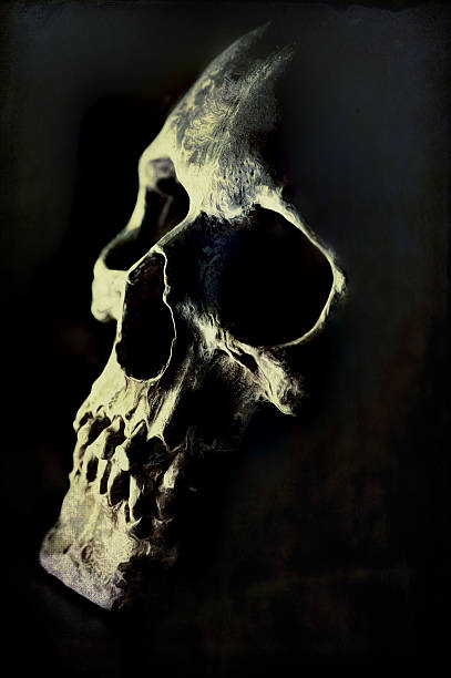 istock Digital art, paint effect, cracked and damaged human skull 501819420