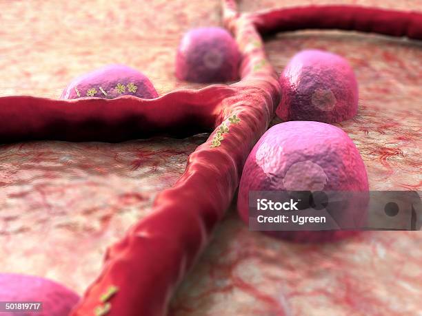 Beta Cells Insulin Stock Photo - Download Image Now - Biological Cell, Receptor, Anatomy