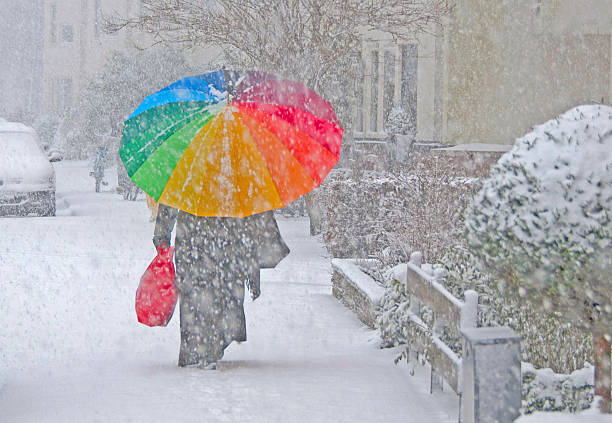 istock Woman with colorful umbrella in winter 501820682