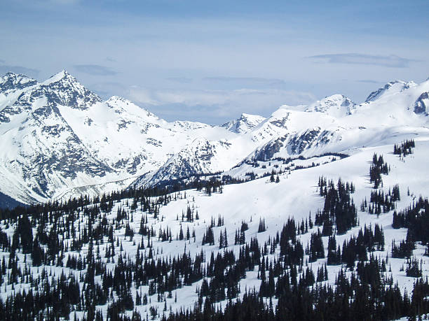 istock Snowy mountain top back country - Whister, Canada 501822786