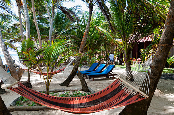 istock Hammocks and lounger in a Resort Under Coconut Tree Shades 501824132