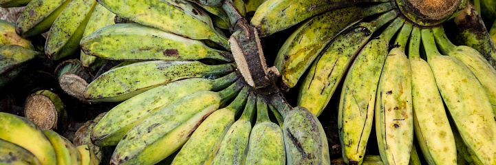 A close up view of a ripe banana