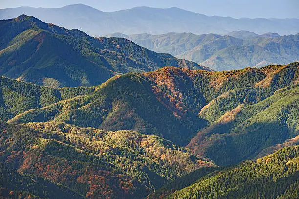 Landscape with evergreen pine forests and deciduous trees in fall in the mountains of Koyasan, Wakayama prefecture, Japan.