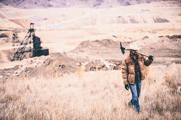 istock Rugged man with pickaxe over shoulder walks through industrial field 501829859