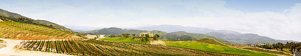 istock California Vineyard Panaorama 501829959
