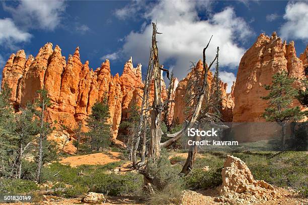 The Dried Up Tree Stock Photo - Download Image Now - Badlands, Beauty In Nature, Blue