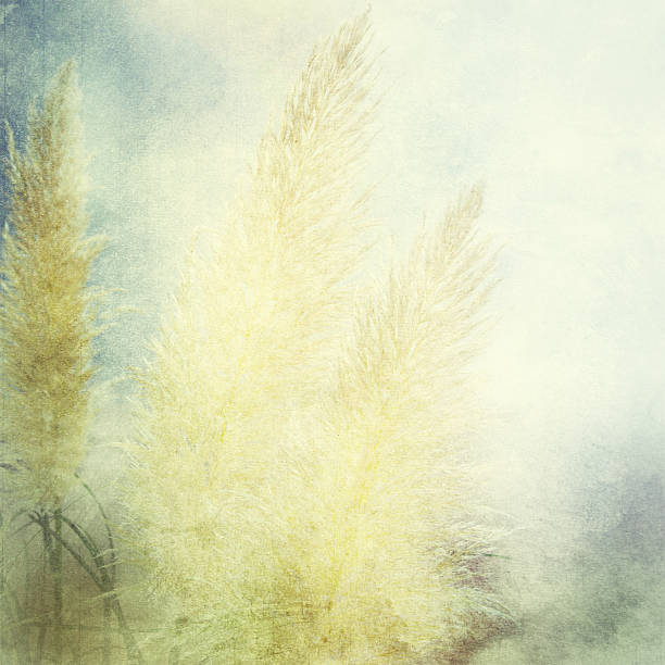 istock Textured old paper background with field and sky 501830257