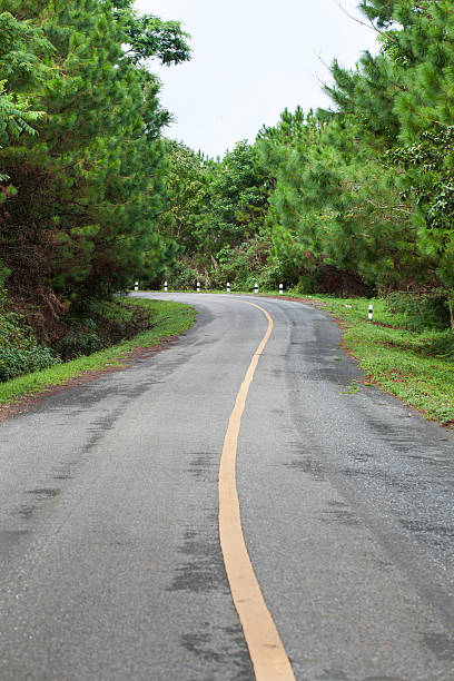 istock The road through the rainforest 501832931