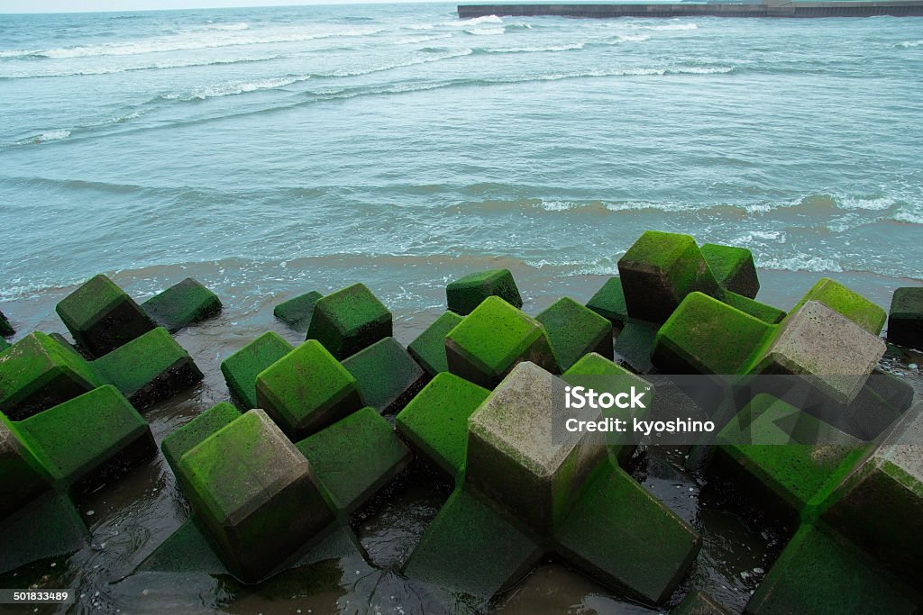 The breakwater is covered to sand The top of a breakwater on Japan beach. The level of sand has risen over the short time so that the breakwater is almost covered.  Algae Stock Photo